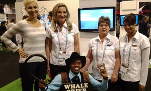 Countdown for Whales